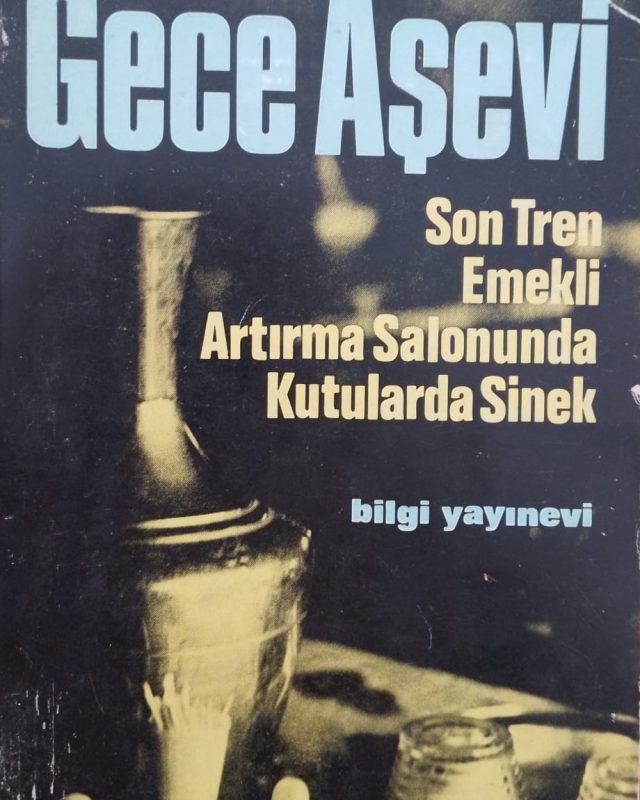 18-Gece-asevi