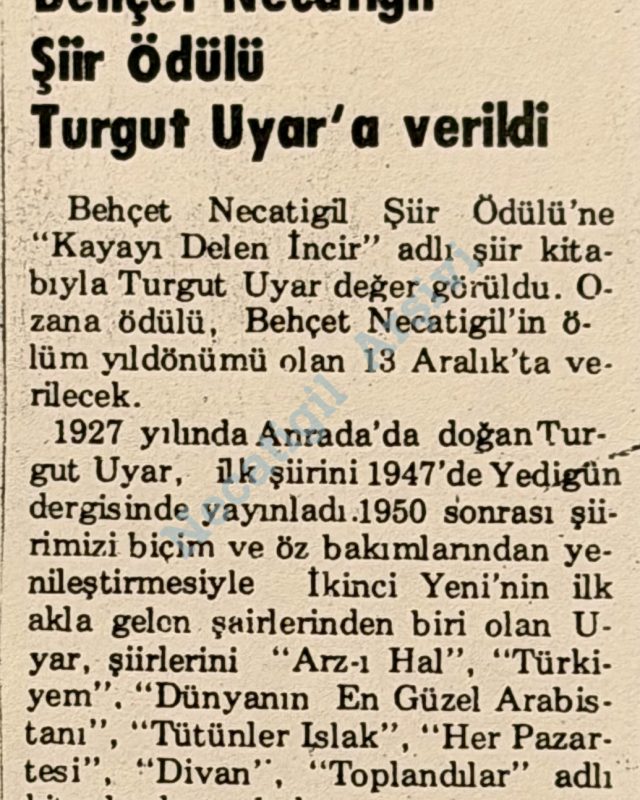 1982-Kupur-1