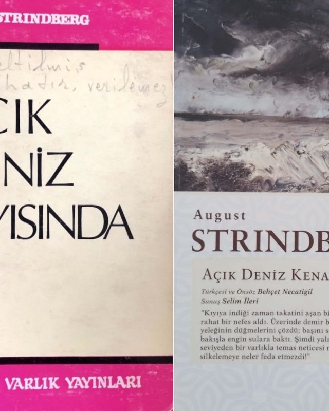 32-Acık-Deniz-Kiyisinda