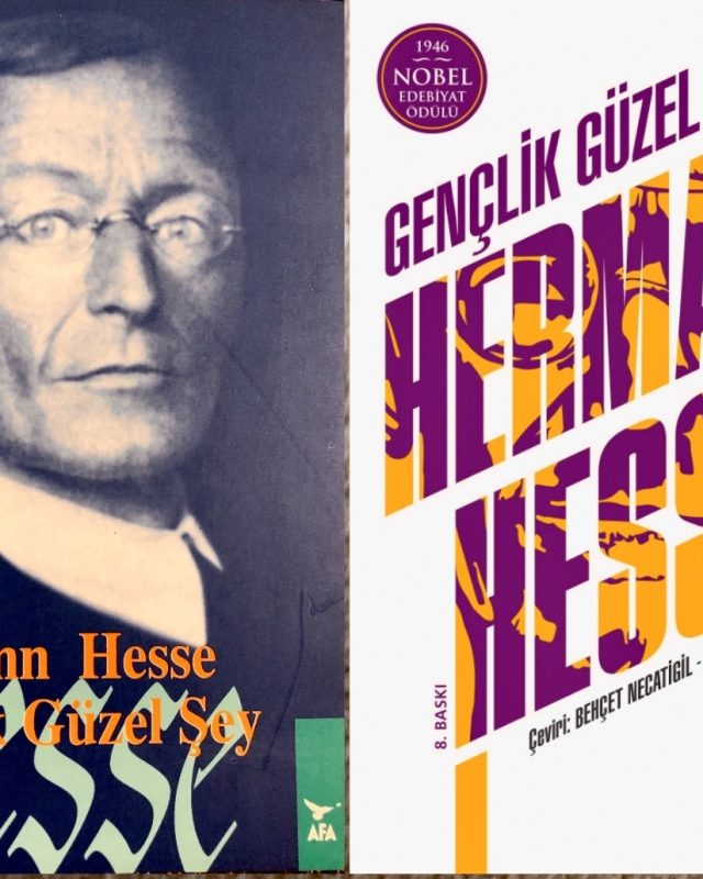 49-Genclik-Guzel-Sey