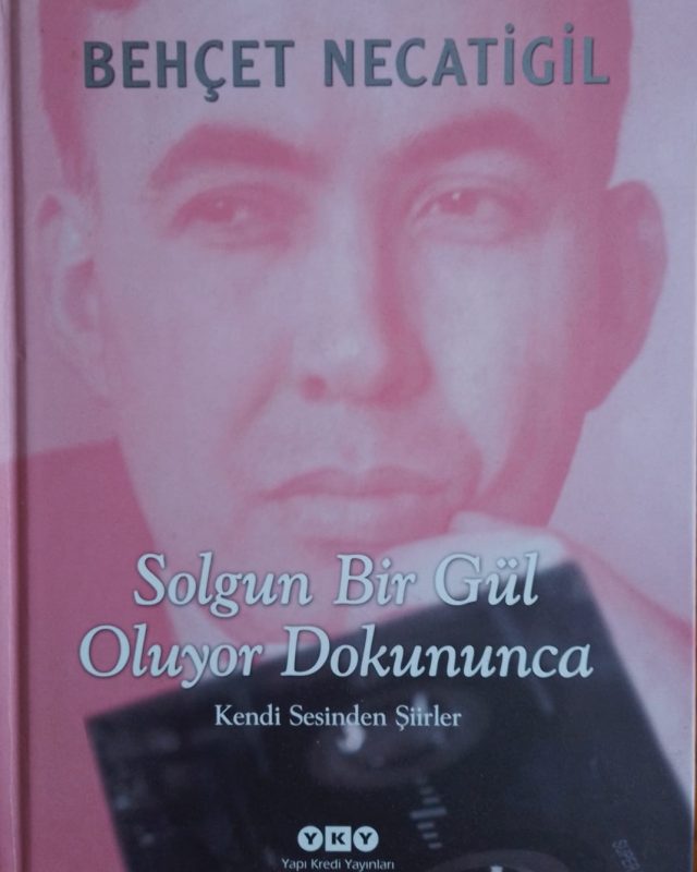 74-Solgun-bir-gul-dokununca