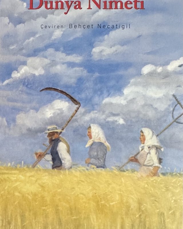 95-Dunya-Nimeti-oyun