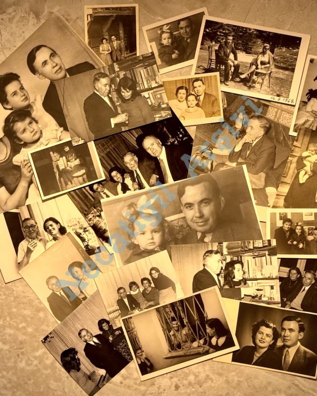 Aile-Toplu