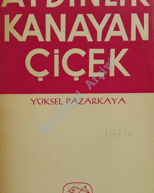 AydinlikKanayanCicek_1