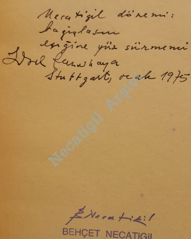 AydinlikKanayanCicek_2